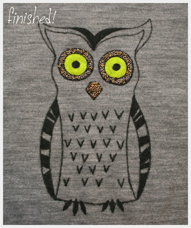 Owl Sweater DIY Finished Design