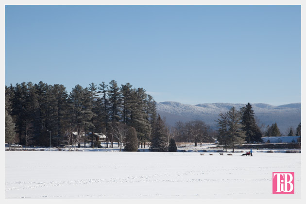 Dog Sledding on Mirror Lake in Lake Placid