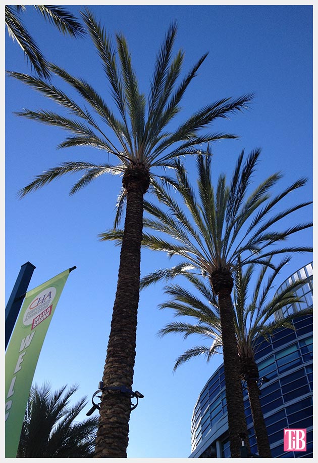 Palm trees Anaheim Convention Center
