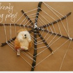 Halloween Spiderweb DIY With Prey