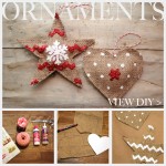 Country Ornament DIY Feature