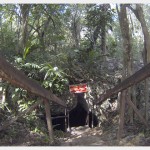Entrance to Cenote