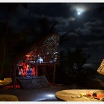 Full Moon at Papaya Playa Project