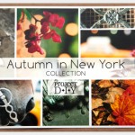 M & J Project DIY Autumn in New York