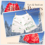 DIY Holiday Boxers by Trinkets in Bloom