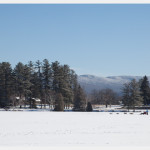 Dog Sledding on Mirror Lake in Lake Placid