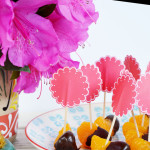 Chocolate Dipped Fruit by Jaderbomb