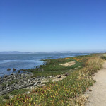 Marshlands