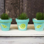 Terra Cotta Pot Trio by PLA Schneider